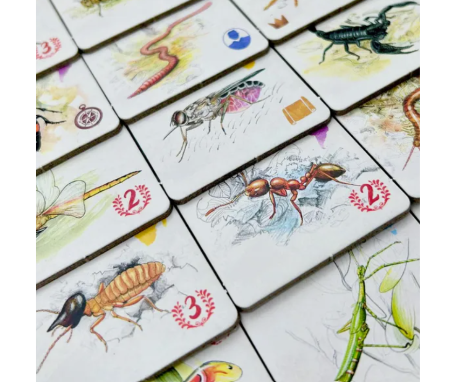 Tras los pasos de Darwin